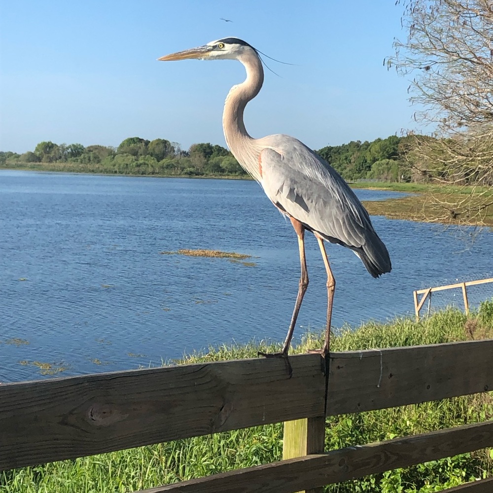 Meet your Posher, Kristen